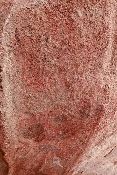 Rock Art Of Southern California Baja California And Beyond To The