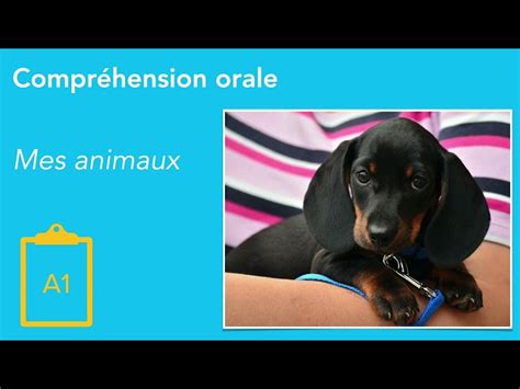 Les Animaux Domestiques Pratique Du Fran Ais Fle Le Ons Vid O