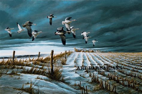 Wildlife Art Prints Plus Original Paintings With A Wide Selection From