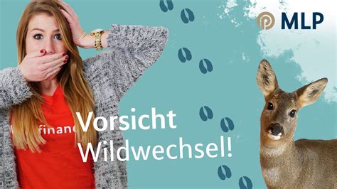 Vorsicht Wildwechsel YouTube