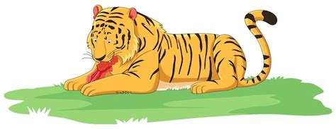 Premium Vector | Tiger eating meat