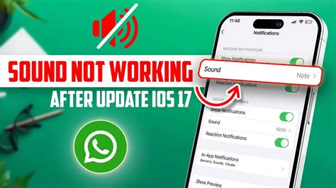 Fix Whatsapp Notification Sounds On Ios Whatsapp Notification