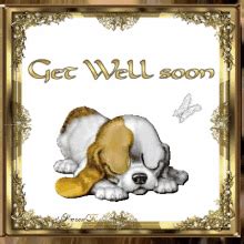 Speedy Recovery Get Well Soon Dog Gif - Frikilo Quesea