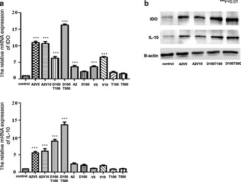 The Effects Of Epigenetic Regulators On The Immunoregulatory Properties