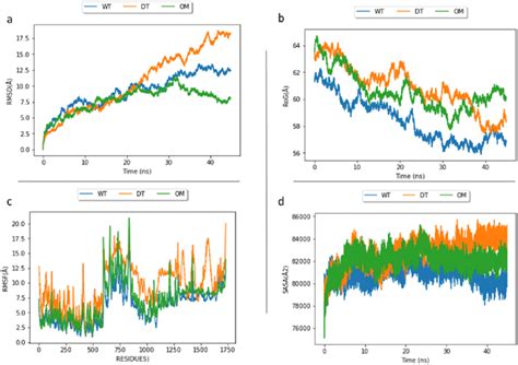 Comparative A Rmsd B Rog C Rmsf And D Sasa Profile Plots Of