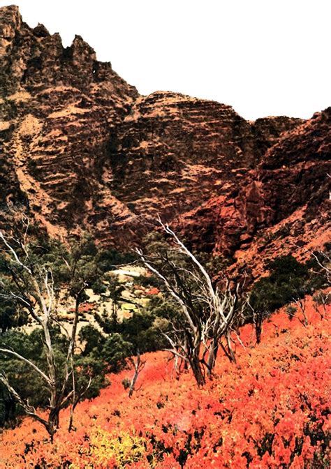 Flinders Ranges South Australia | Natural landmarks, Landscape ...