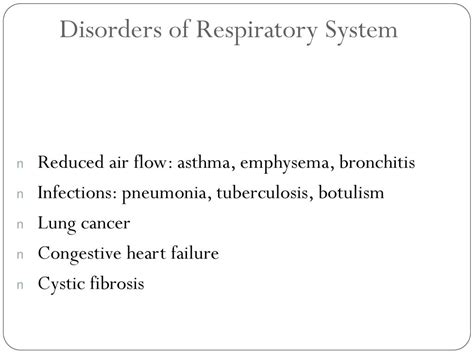 The Respiratory System Ppt Download