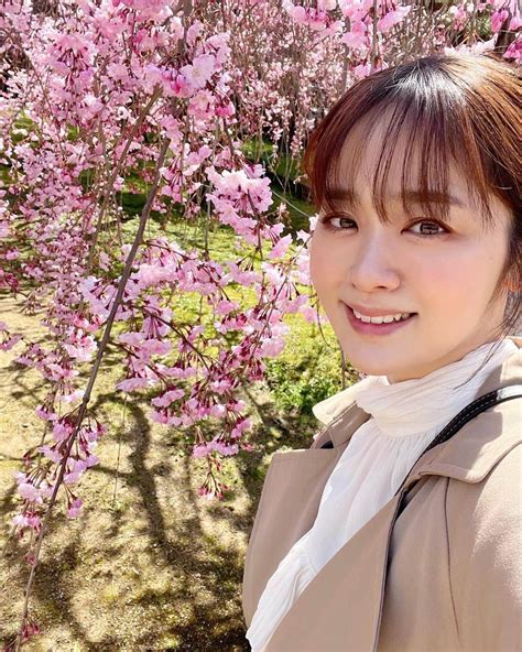 池田裕子さんのインスタグラム写真 池田裕子instagram「🌸🌸🌸」4月3日 15時50分 Kurimushiyoukan