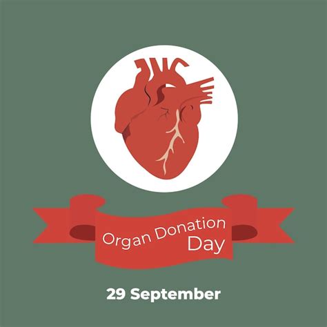 Premium Vector Vector Illustration Of International Organ Donation Day