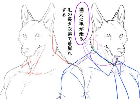 身体の仕組みから考える！ 獣人を描き方講座 いちあっぷ