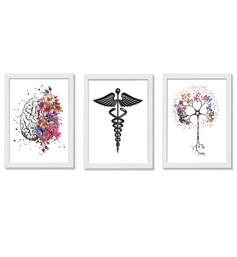 Kit Quadros Decorativos C Rebro Neurologia Medicina Elo