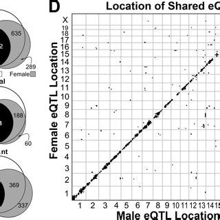 Sex Specific Transcriptome Maps Reveal Differences And Similarities In