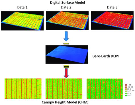 Generation Of Canopy Height Models From Digital Surface Models Download Scientific Diagram