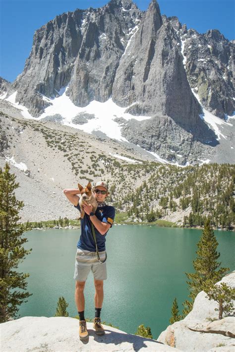 Strengthen Your Bond with Your Dog | 5 Simple Steps – BACK 40 Dogs