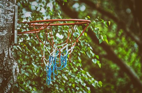 Basketball Hoop Ball Free Photo On Pixabay Pixabay