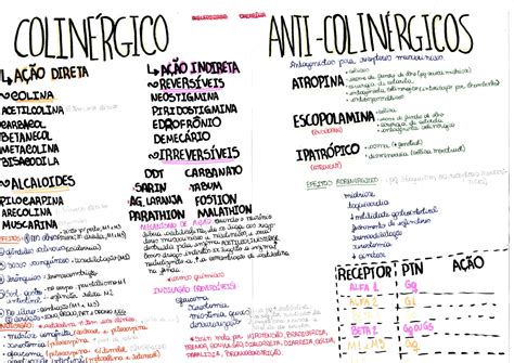 Arriba 97 Imagen Mapa Mental De Farmacologia Abzlocalmx