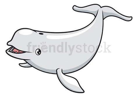 Beluga Whale Cartoon Clipart Vector - FriendlyStock