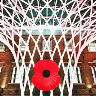 Poppy Day in London - A Guide to Remembrance Day in the UK Capital ...