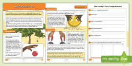 Isaac Newton Differentiated Reading Worksheets Twinkl