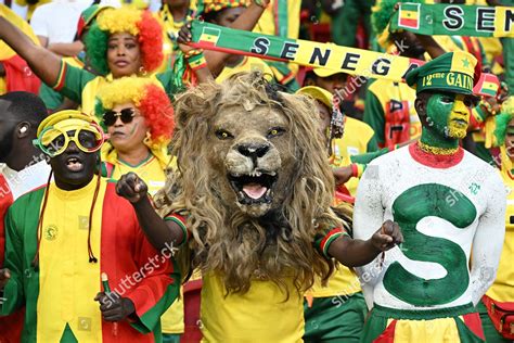 Senegalese Fans Attend Qatar V Senegal Editorial Stock Photo Stock