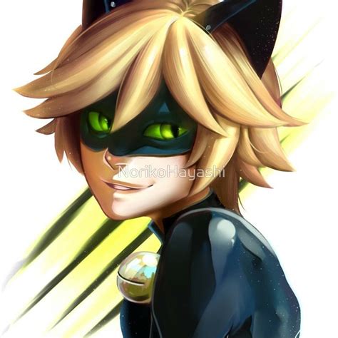 Chat Noir Miraculous Ladybug Ladybug Miraculous