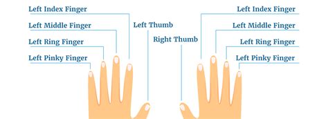 finger   wedding ring finger