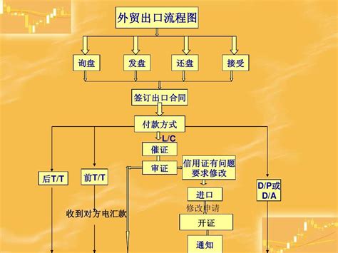 外贸流程图word文档在线阅读与下载无忧文档