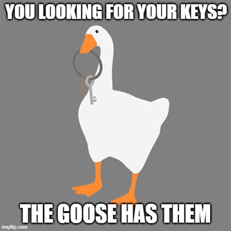 Untitled Goose Game Memes Imgflip Hot Sex Picture