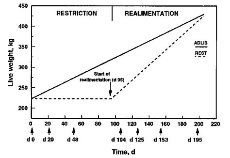 Schematic Representation Of Growth Paths Of Ad Libitum Adlib And Feed