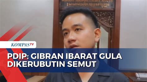 PDIP Akhirnya Panggil Gibran Buntut Pertemuan Dengan Prabowo YouTube