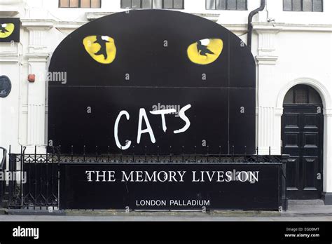 Cats musical poster hi-res stock photography and images - Alamy