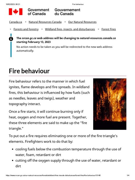 fire behaviour  fires wildfire