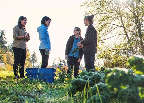 Apply For Funding To Support Wellbeing In Teaching Learning And