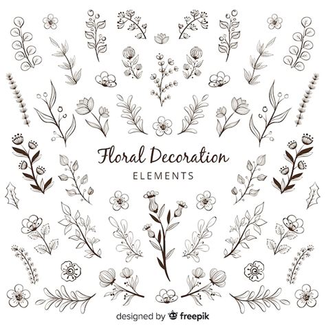 Elementos Decorativos Florales Dibujados A Mano Vector Gratis