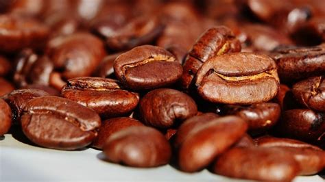 5 Most Expensive Coffees In The World India Today