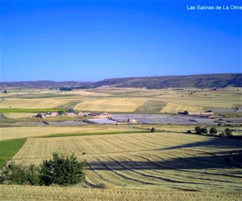 Visita Salinas Olmeda De Jadraque Tclm