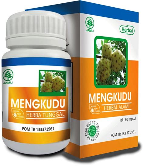 Obat Herbal Mengkudu Menormalkan Kolesterol Sehat Herbal