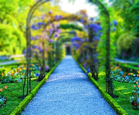 🔥 Garden CB Background HD For Picsart Editing Free | CBEditz