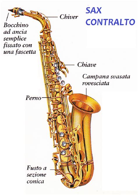 Gocce Di Note Strumenti Musicali Il Sassofono The Saxophone