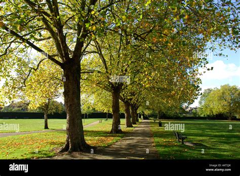 Priory Park, Crouch End, London Stock Photo - Alamy