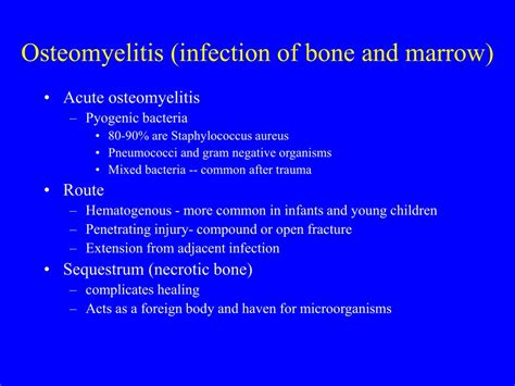 Ppt Synovium Non Synovial Joints And Bone Physiology And Diseases Powerpoint Presentation