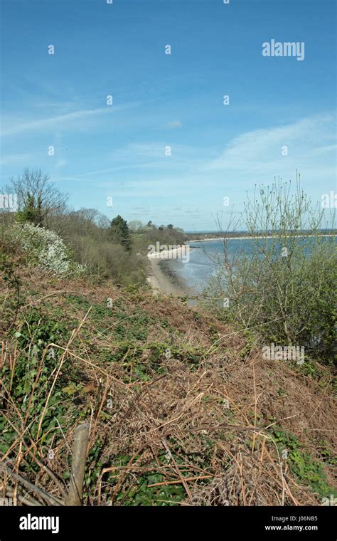 Studland Bay Dorsetthe Start Of The World Heritage Jurassic Coast