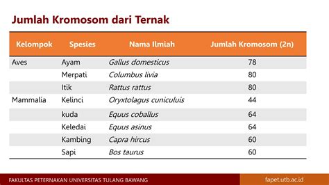 Materi Genetik Kromosom Gen Dna Dan Rna Materi Genetika Ternak Ppt