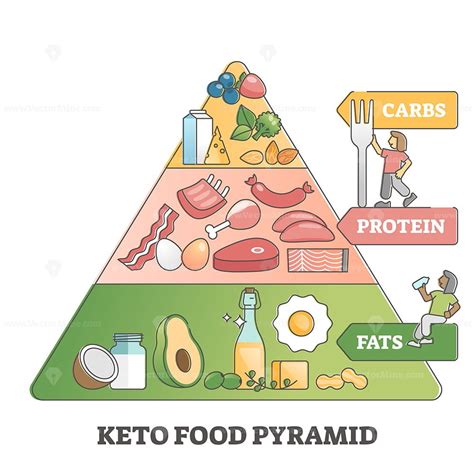 Keto Food Pyramid With Paleo Diet Nutrition Products Diagram Outline Diagram Vectormine