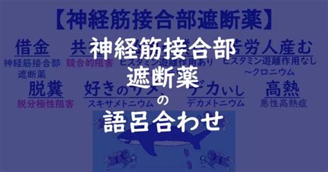 薬理学 ゴロ 神経筋接合部遮断薬 末梢性筋弛緩薬 の語呂合わせ ゴリ薬