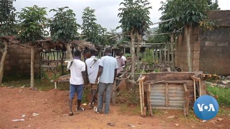 Nigerias Ginger Farmers Enjoy Pandemic Boon