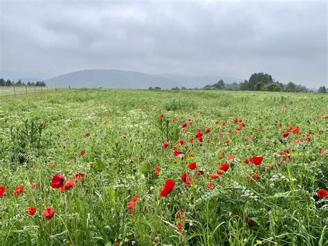 Westerwald Panorama Lahntal Foto Gratis En Pixabay Pixabay