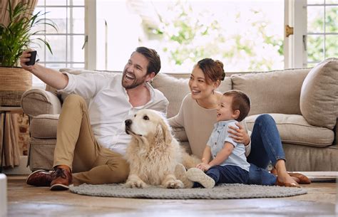 Top 10 Popular Dog Breeds for Every Lifestyle and Home Environment
