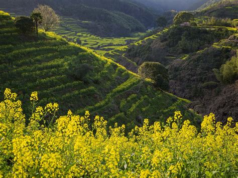 Chinese Villages Named Untwo Best Tourism Villages Chinadaily Cn