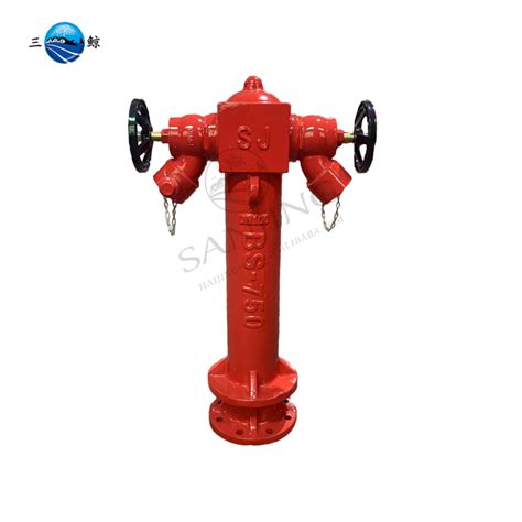 China Factory Wet Type Outdoor Two Way Pillar Hydrant Manufacturers